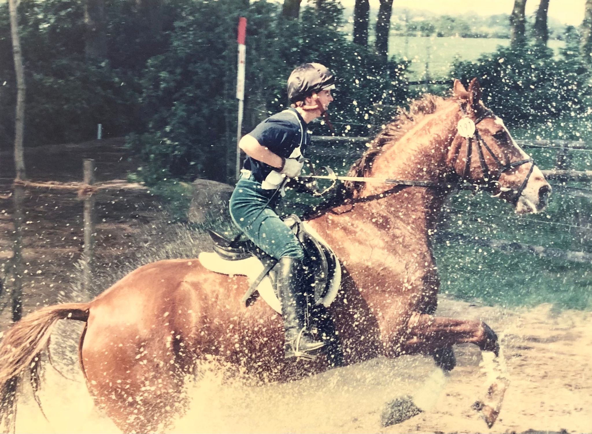 Petra Starlight WasserAVS